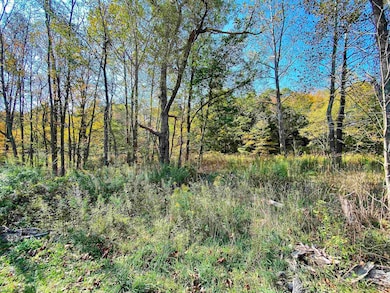 Lot 2 Blizzards Gate Rd, Harman, WV 26270 - photo 7