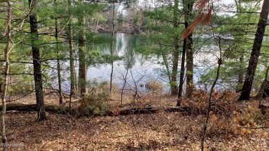 0 68th St unit 19019284, Idlewild, MI 49642 - photo 3