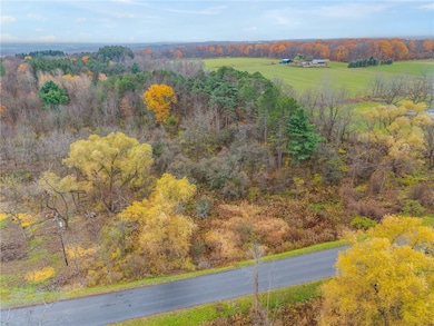 0 Seneca St, Trumansburg, NY 14886 - photo 5