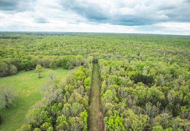 DJI_20250503143908_0530_D