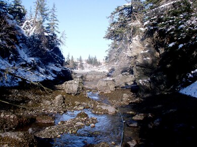 Creek in Spring