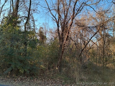 2808 W Oak Grove Rd, Cleveland, OK 74020 - photo 4