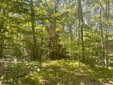 L4.15 New York 22, Berlin, NY 12022 - photo 4