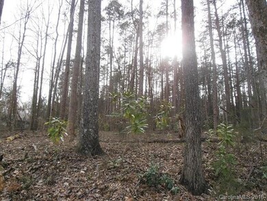 3770 Zion Church Rd, Concord, NC 28025 - photo 2