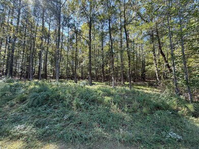 233 Zara Spook Dr, Cedar Grove, TN 38321 - photo 5