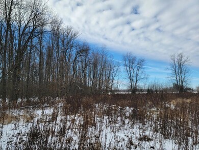 ON Cth C unit 7.87 Acres, Antigo, WI 54409 - photo 6