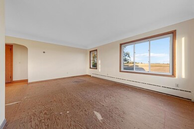 29022 431st Ave, Arlington, MN 55307 - photo 6