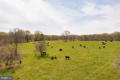 565 Vance Rd, Shepherdstown, WV 25443 - photo 2