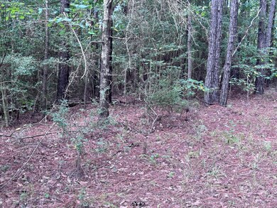 204 Ella Point, Lumberton, MS 39455 - photo 3