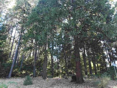 6405 Dunsmuir Ave, Dunsmuir, CA 96025 - photo 4