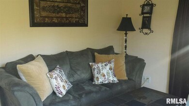 3507 W Queen Ann Ct, Peoria, IL 61615 - photo 4