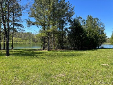 Lot 1 N Leahmon Ln, Mathews, AL 36052 - photo 4