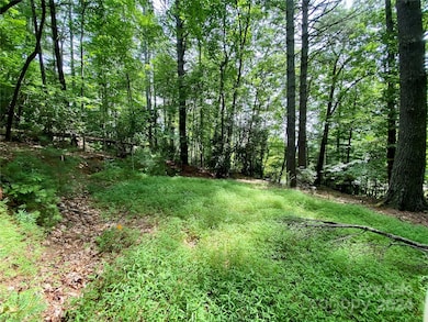 400 Emerald Hills Dr, Pisgah Forest, NC 28768 - photo 2