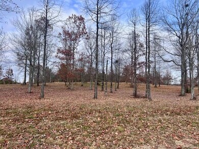 0 River Bluffs Dr unit 1524255, Jasper, TN 37347 - photo 5