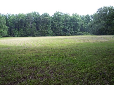 pasture