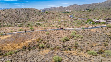 0001-01-Desert Tortoise Drone