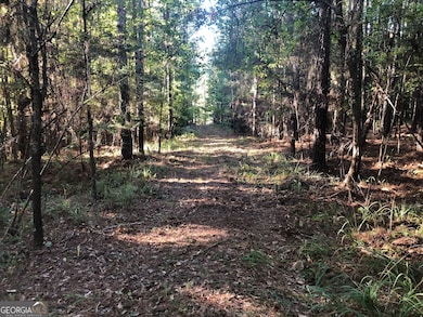 LOT 10 Triune Mill Rd, Thomaston, GA 30286 - photo 2