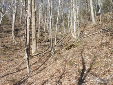 626 Stewart Simmons Rd, Deep Gap, NC 28618 - photo 5