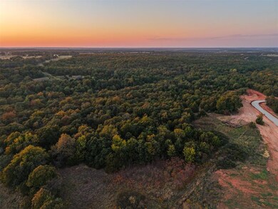 00013 E 1060 Rd, McLoud, OK 74851 - photo 5