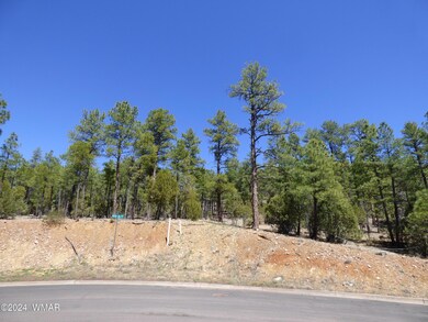 2401 S Hidden Ridge Trail (1)