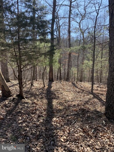 Lot 33 Sugar Maple Dr, Valley, WV 25420 - photo 4