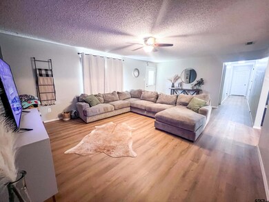 1399 County Road 2400, Mount Pleasant, TX 75455 - photo 5