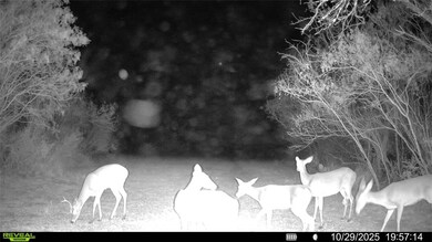 0 County Road 215, McCoy, TX 78113 - photo 7