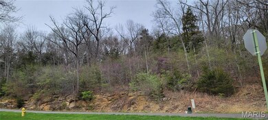 600 N High Post Rd, Augusta, MO 63332 - photo 5