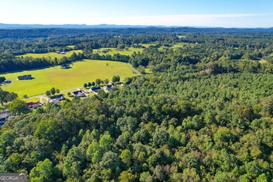 34 + - Acre On Ga Hwy 337, Lafayette, GA 30728 - photo 6