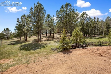 1011 W Bison Creek Trail, Divide, CO 80814 - photo 4
