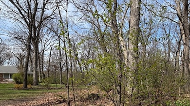 258 S Root Dr, Crete, IL 60417 - photo 6