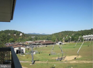 1836 Fairway Dr unit 221, Basye, VA 22810 - photo 6