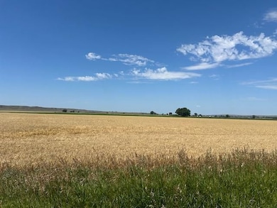 50 Wyant Coulee Rd, Forsyth, MT 59327 - photo 6