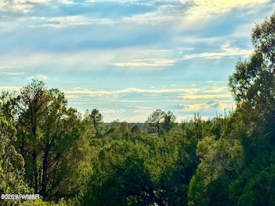 TBD Flake Rd Lots L & P 2 54 Acres --, Aripine, AZ 85933 - photo 6