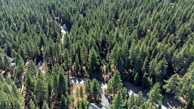 12062 Saddleback Dr, Truckee, CA 96161 - photo 4