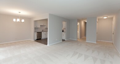 42 Plymouth Ct unit 6102B, Naperville, IL 60565 - photo 4