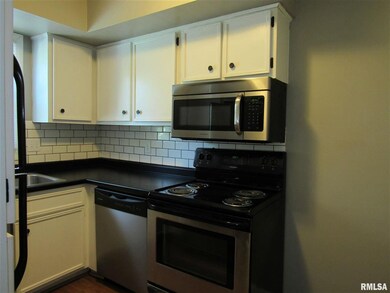 2528 E 50th St, Davenport, IA 52807 - photo 5