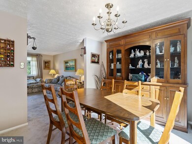 6811 Rock Creek Ct, Alexandria, VA 22306 - photo 7