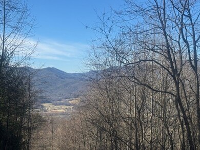 68 Acres Ponderosa Rd, Rabun Gap, GA 30568 - photo 5