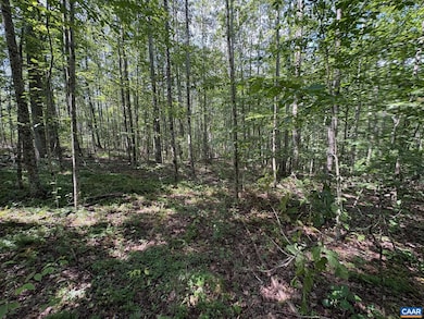 Part of TM 24-1 Mitchell Mountain Rd unit PORTION OF TM 24-1, Haywood, VA 22722 - photo 3