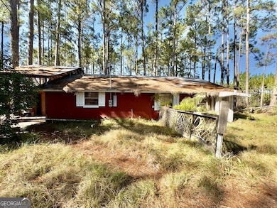 4421 Albert Rahn Rd, Glennville, GA 30427 - photo 3