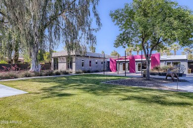 54 Back Yard