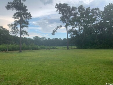 139 Pumpkin Ash Loop, Conway, SC 29527 - photo 6