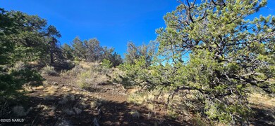 20202016t No Name Rd, Williams, AZ 86046 - photo 6