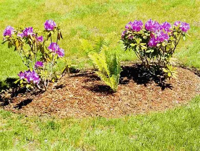 250 Fox Run unit 14, Colchester, VT 05446 - photo 6