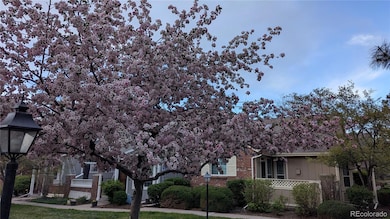 Spring Cherry Blossoms outside 3004A