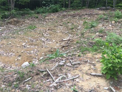 Lot 2 White Tail Ridge Rd, Bridgton, ME 04009 - photo 4