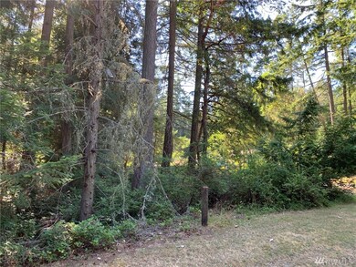 12008 Yoman Rd, Anderson Island, WA 98303 - photo 4