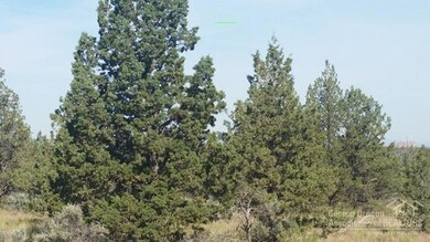 0 NE Lexi Ln unit 201502983, Redmond, OR 97756 - photo 3