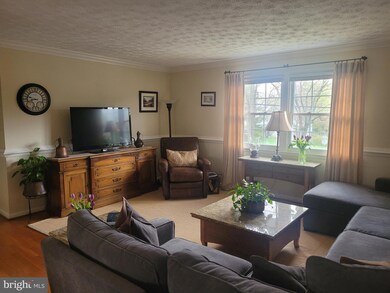 8510 Queen Elizabeth Blvd, Annandale, VA 22003 - photo 4